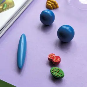 North Parade Wonders of Learning Discover Biology Educational Box Set