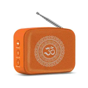 Saregama Carvaan Mini Bhakti Music Player