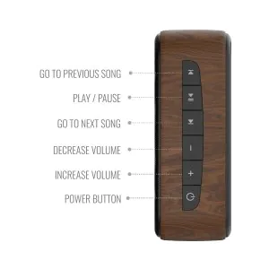 Saregama Carvaan Mini Hindi Music Player