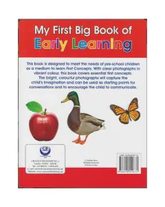 Shree My First Big Book Of Early Learning