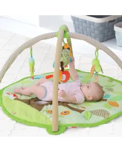 Skip Hop Treetop Friends Baby Activity Gym