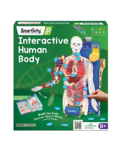 Smartivity Interactive Human Body Model