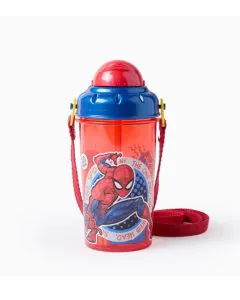 Strider Stor Single Wall Canteen Spiderman Mob Rules Bottle