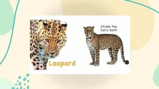 Om Touch And Feel Wild Animal Book