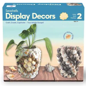 Toykraftt Seashells Display Decors DIY Kit