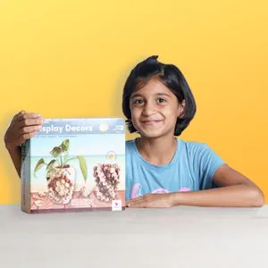 Toykraftt Seashells Display Decors DIY Kit