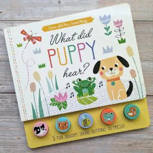 North Parade What Did Puppy Hear? Sound Book