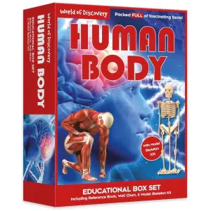 North Parade World of Discovery Human Body